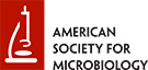 American_Society_for_Microbiology_logo-1.png