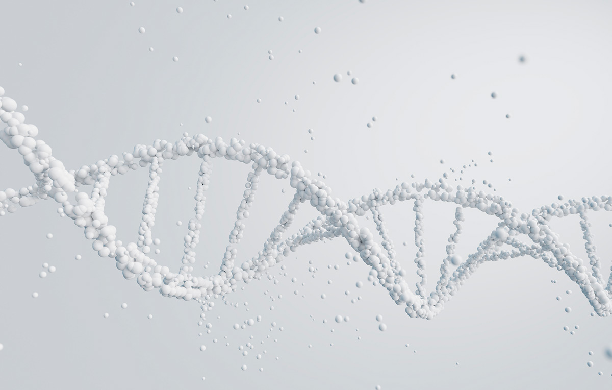 Dna - ácidos nucleicos