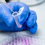 Cientista trabalhando em uma microplaca e pipetas para uso em dpcr