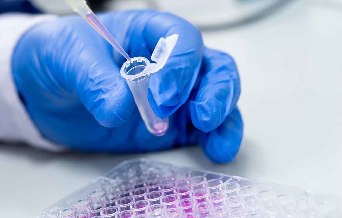 Cientista trabalhando em uma microplaca e pipetas para uso em dpcr