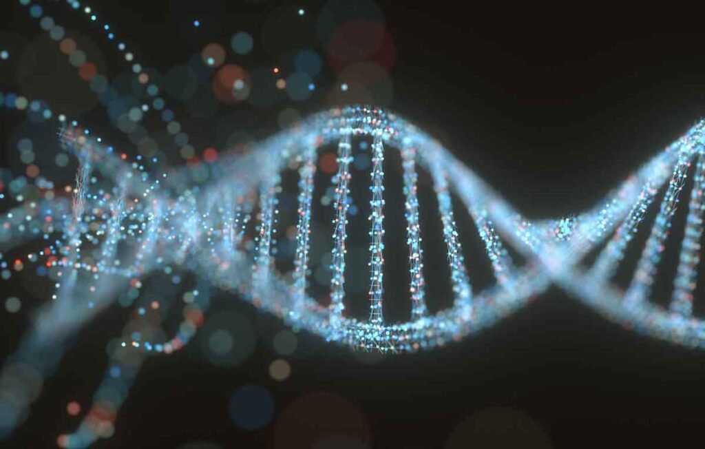 Imagem ilustrada de rna