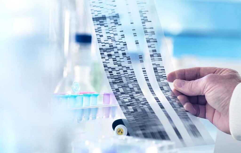 Um cientista examina cuidadosamente um gel de sequenciamento de DNA